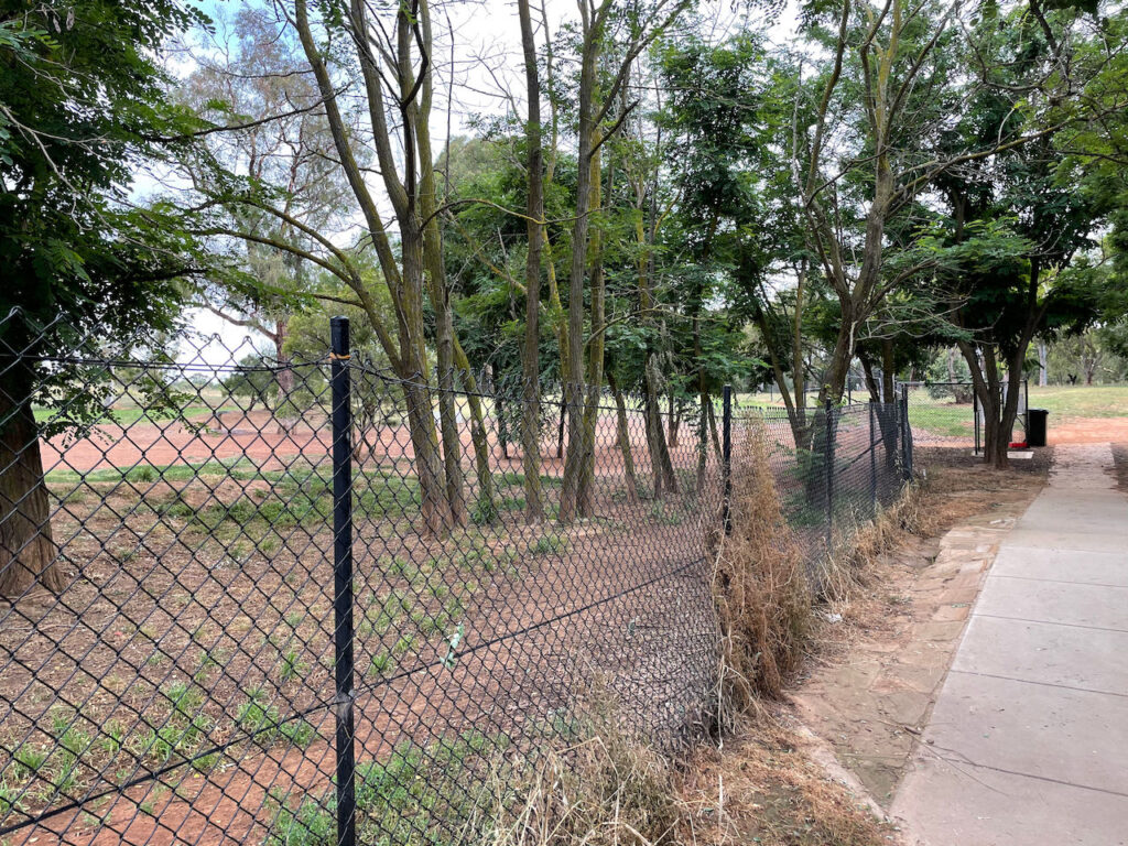 Lake Ginninderra Dog Park