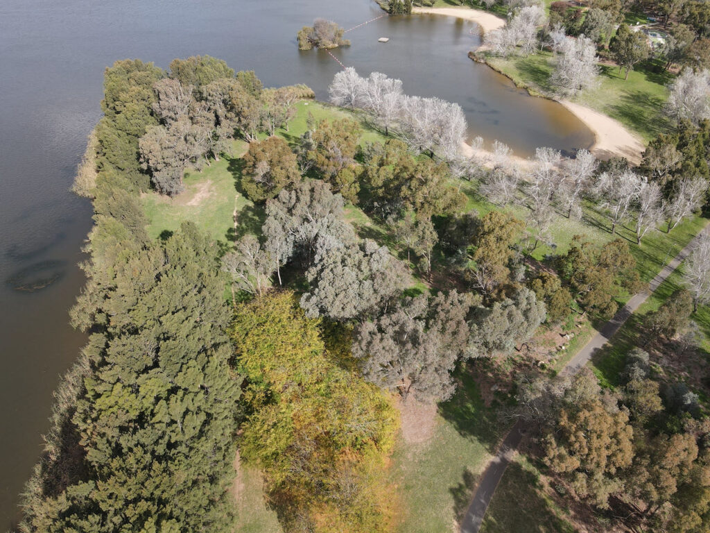 Lake Ginninderra Parkland