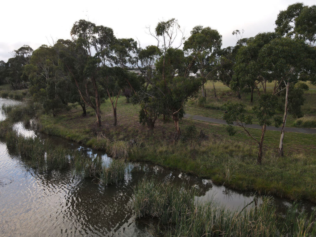 Eastern Foreshore of Lake Ginninderra