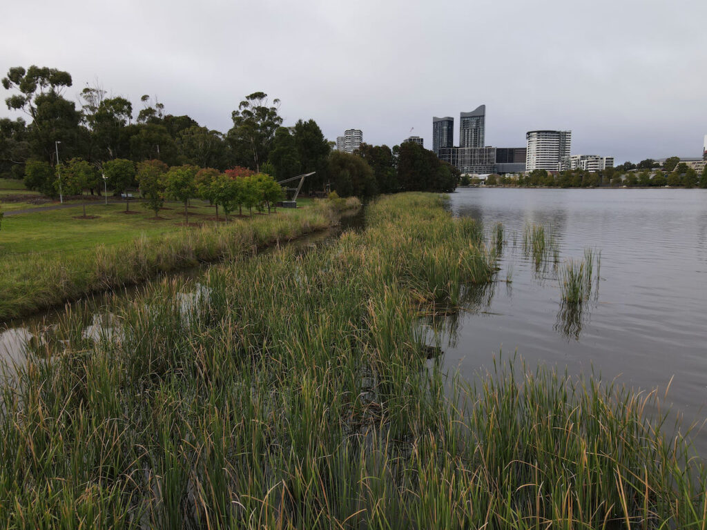 Eastern Foreshore of Lake Ginninderra