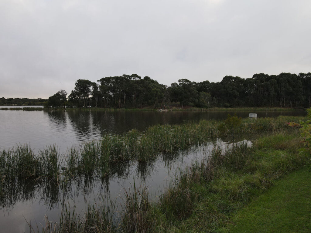 Eastern Foreshore of Lake Ginninderra