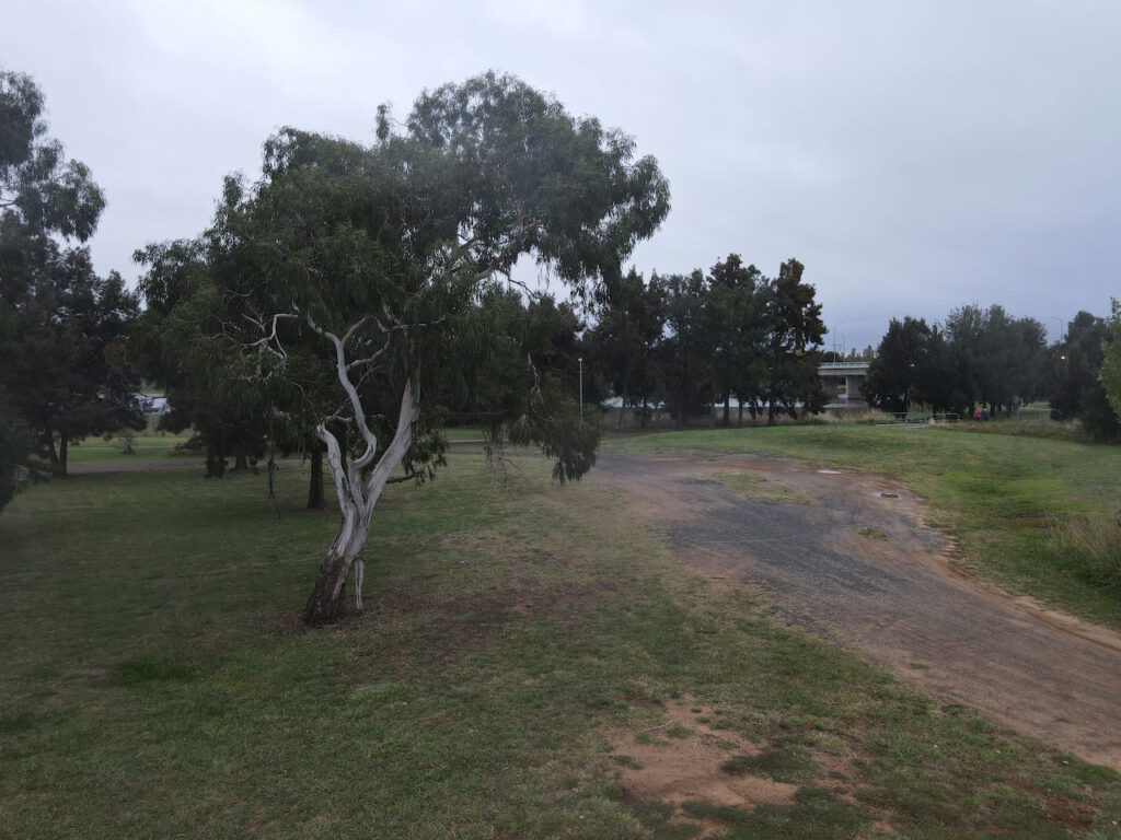 Lake Ginninderra Parkland