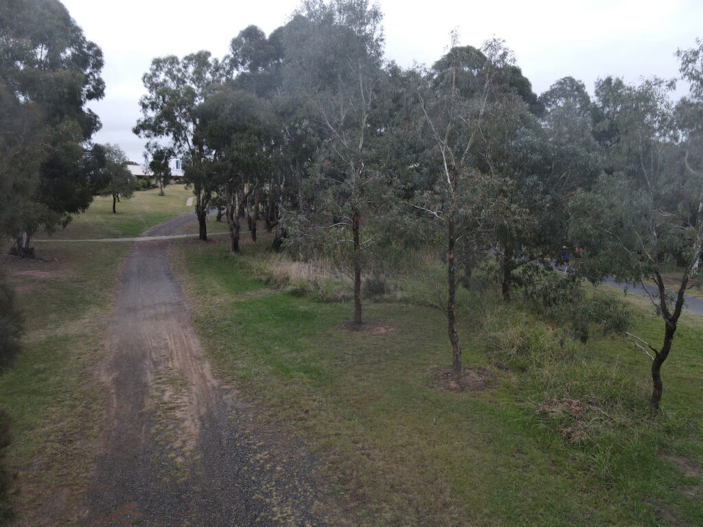 Lake Ginninderra Parkland