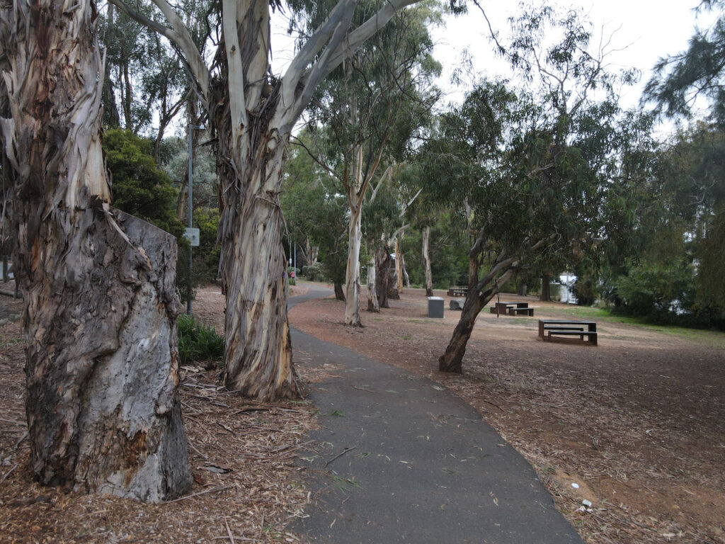 Lake Ginninderra Parkland